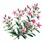 centaurée (Centaurium umbellatum) et son utilisation dans la thérapie florale